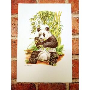 Giant Panda - R. Fieger - 1999 Vtg ART PRINT - 7"x10" - Unique Wall Decor